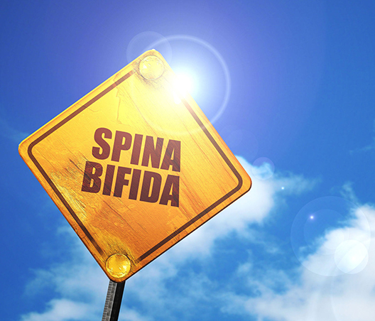 spina bifida ya bagli mesane sorunlari ve cozumleri prof dr rahmi onur